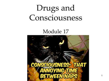 1 Drugs and Consciousness Module 17. 2 3 States of Consciousness Overview Drugs and Consciousness  Dependence and Addiction  Psychoactive Drugs  Influences.