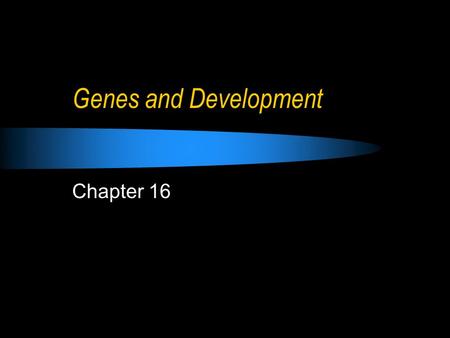 Genes and Development Chapter 16. Development All the changes that occur during an organism’s lifetime Cell specialization: Cell determination: specific.