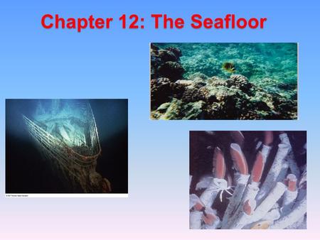 Chapter 12: The Seafloor. Introduction The seafloor makes up the largest part of the Earth’s surface.