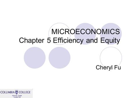 MICROECONOMICS Chapter 5 Efficiency and Equity