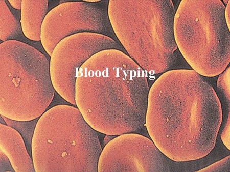 Blood Typing. Blood type is based on the presence or absence of 2 kinds of antigens on the surface of red blood cells. In our plasma, there can be antibodies.