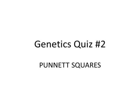 Genetics Quiz #2 PUNNETT SQUARES.