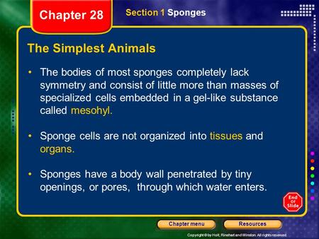 Copyright © by Holt, Rinehart and Winston. All rights reserved. ResourcesChapter menu The Simplest Animals The bodies of most sponges completely lack symmetry.