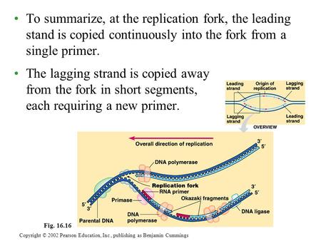 Copyright © 2002 Pearson Education, Inc., publishing as Benjamin Cummings Fig. 16.16 To summarize, at the replication fork, the leading stand is copied.