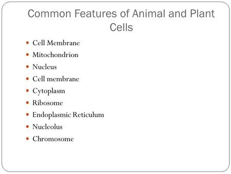 Common Features of Animal and Plant Cells Cell Membrane Mitochondrion Nucleus Cell membrane Cytoplasm Ribosome Endoplasmic Reticulum Nucleolus Chromosome.