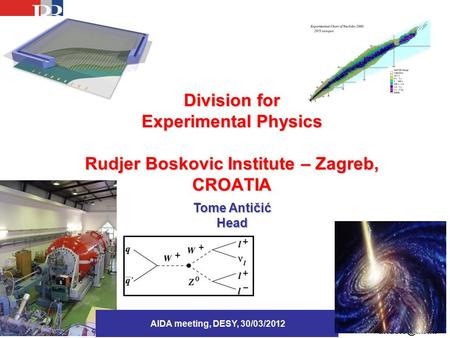 Division for Experimental Physics Rudjer Boskovic Institute – Zagreb, CROATIA AIDA meeting, DESY, 30/03/2012 Tome Antičić Head.