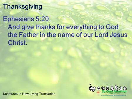 Thanksgiving Ephesians 5:20 And give thanks for everything to God the Father in the name of our Lord Jesus Christ.