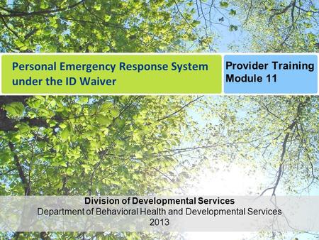 Personal Emergency Response System under the ID Waiver Division of Developmental Services Department of Behavioral Health and Developmental Services 2013.