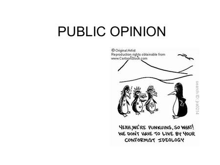 PUBLIC OPINION. WHAT IS IT? PURE LIBERAL- Economic liberal/social liberal –Econ- redistribute wealth, regulate business –Social- rights of the individual.