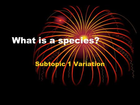 What is a species? Subtopic 1 Variation. What do these animals have in common?