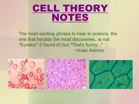 CELL THEORY NOTES The most exciting phrase to hear in science, the one that heralds the most discoveries, is not Eureka! (I found it!) but That's funny...