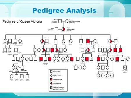 Pedigree Analysis Have you ever seen a family tree… do you have one??