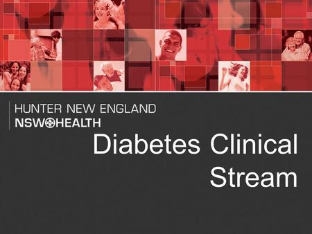 1 Diabetes Clinical Stream. The Diabetes Clinical Stream  Established in October 2008, and soon after joined with the Renal, Cardiac and Stroke Streams.