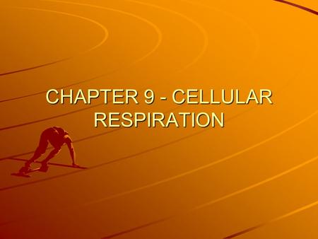 CHAPTER 9 - CELLULAR RESPIRATION. CELLULAR RESPIRATION Process that releases energy by breaking down food molecules in the presence of oxygen 6 O 2 +