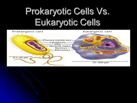 Prokaryotic Cells Vs. Eukaryotic Cells. Now that we have learned how living things are organized what’s next? We will learn more about the lowest level.
