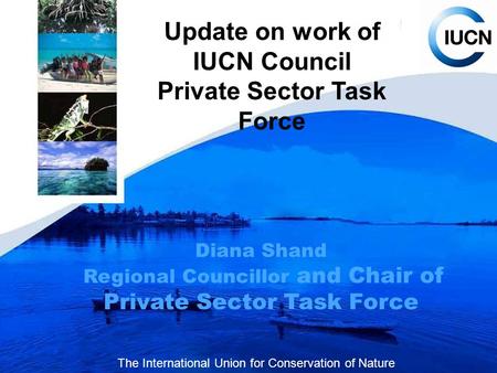 Update on work of IUCN Council Private Sector Task Force Diana Shand Regional Councillor and Chair of Private Sector Task Force The International Union.