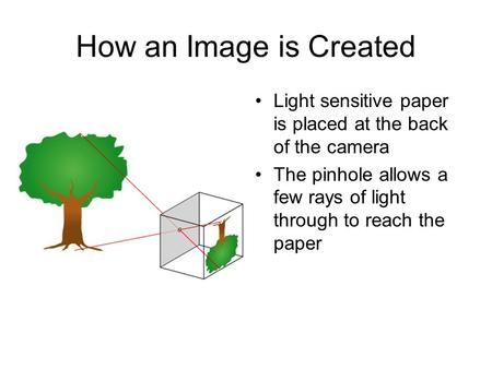 How an Image is Created Light sensitive paper is placed at the back of the camera The pinhole allows a few rays of light through to reach the paper.