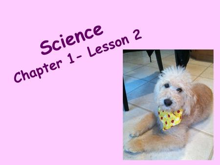 Science Chapter 1- Lesson 2.