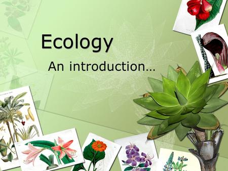 Ecology An introduction…. Question Are organisms, including humans, “islands”. Why or why not? Support your answer.