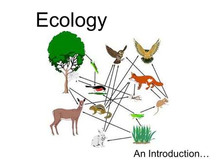 Ecology An Introduction…. Ecology – the study of the interactions that take place between organisms and their environment What would be considered an.