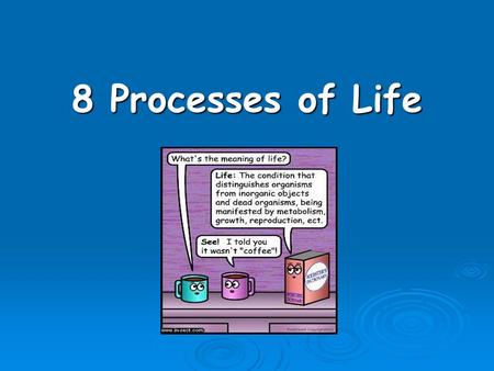 8 Processes of Life. Life Cycle 1. Life Cycle- all organisms are born, grow, and die.
