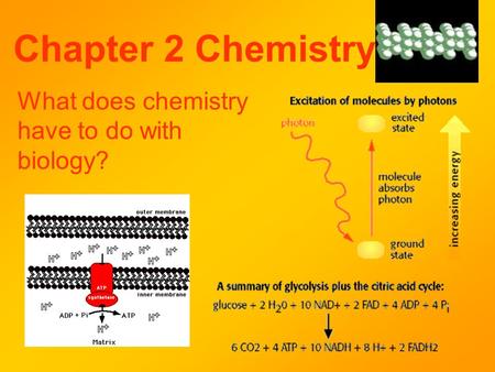 Chapter 2 Chemistry What does chemistry have to do with biology?