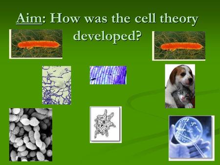 Aim: How was the cell theory developed? CHARACTERISTICS OF LIFE Cells: Cells: Metabolism: Metabolism: Homeostasis: Homeostasis: Reproduction: Reproduction:
