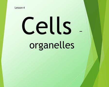 Cells – organelles Lesson 4. LO- Level 3 – Name the parts of a cell. Level 4 – To state the function of the parts of an animal and a plant cell. Level.