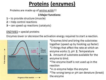 Proteins (enzymes) 3 Major functions: 1 – to provide structure (muscle) 2 – Help control reactions 3 – can speed up reactions (catalysts) ENZYMES = special.