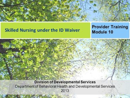 Skilled Nursing under the ID Waiver Division of Developmental Services Department of Behavioral Health and Developmental Services 2013 Provider Training.