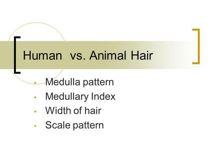 Medulla pattern Medullary Index Width of hair Scale pattern