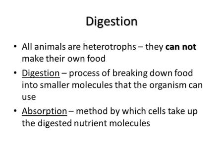 Digestion can not All animals are heterotrophs – they can not make their own food Digestion – process of breaking down food into smaller molecules that.