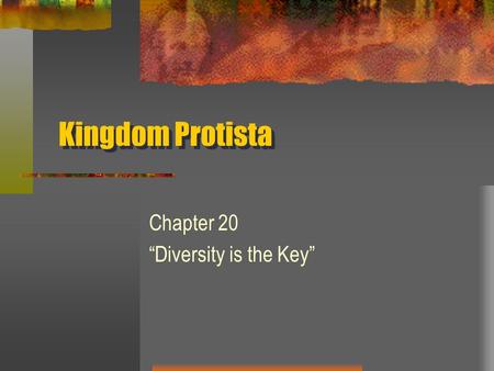 Kingdom Protista Chapter 20 “Diversity is the Key”