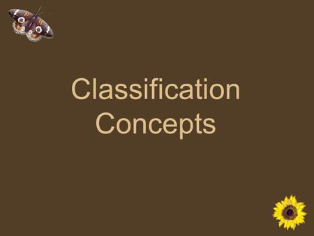 Classification Concepts. The 3 Domains of Life 3) Eukaryotes 1)Bacteria 2) Archaeabacteria.