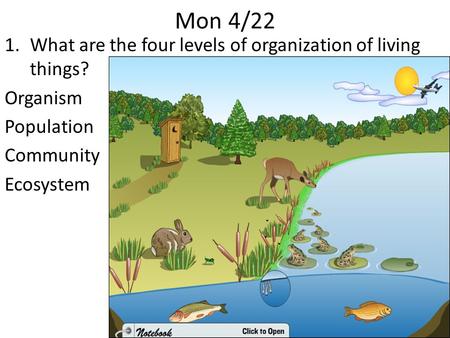 Mon 4/22 1.What are the four levels of organization of living things? Organism Population Community Ecosystem.