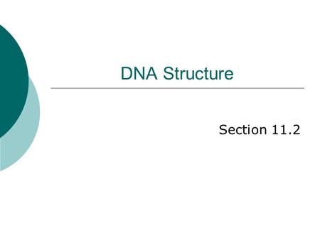 DNA Structure Section 11.2.