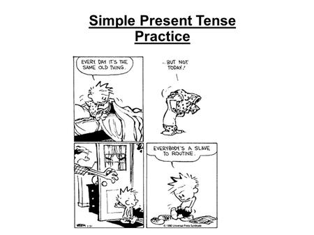 Simple Present Tense Practice. Present Simple Sentences - Affirmative 1 David / hate / alcohol 2 my / play / brothers / basketball 3 teacher / my / like.