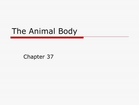 The Animal Body Chapter 37. Tissues: Epithelial  Cells fit tightly together to form a sheet  One side is exposed on the surface of the body or the lining.