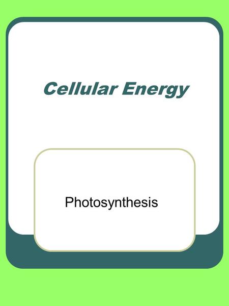 Cellular Energy Photosynthesis. Energy in Living Systems I.All organisms need energy I.The sun is the first and largest source of energy II.Autotrophs.
