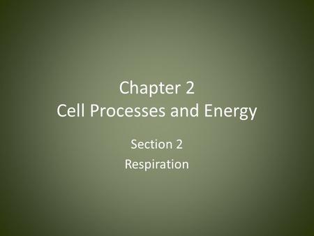 Chapter 2 Cell Processes and Energy