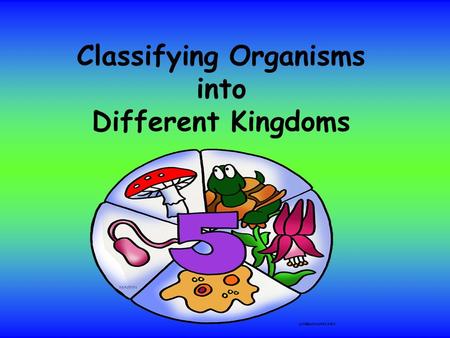 Classifying Organisms into Different Kingdoms. Is a nucleus present? No = Prokaryote- [ “Pro” means before “karyote” means kernel/capsule] - DNA not contained.