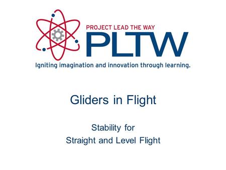 Gliders in Flight Stability for Straight and Level Flight.