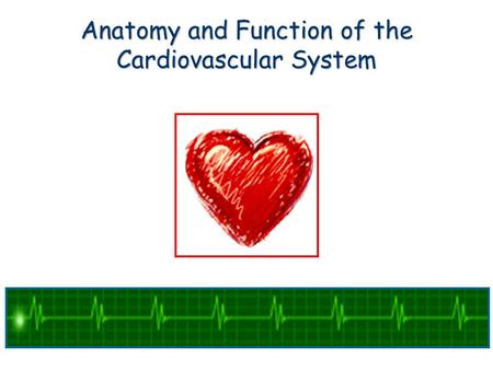 Anatomy and Function of the Cardiovascular System.