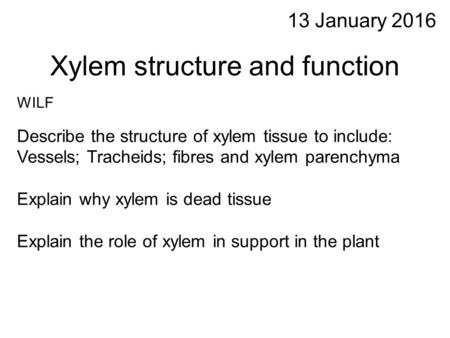 Xylem structure and function