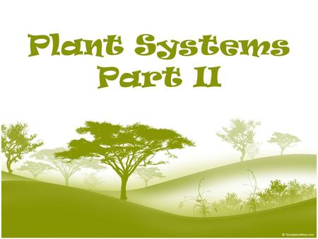 Plant Systems Part II. Plant Tissues A tissue is a group of cells working together to perform a similar function. – The cells in tissues are specialized.