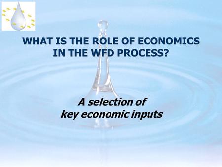 WHAT IS THE ROLE OF ECONOMICS IN THE WFD PROCESS? A selection of key economic inputs.