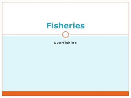 Overfishing Fisheries. Fishing Catching marine organisms.