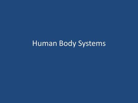 Human Body Systems. Organization of the Body All cells in the human body work both as independent units and as interdependent parts of the organism. Levels.