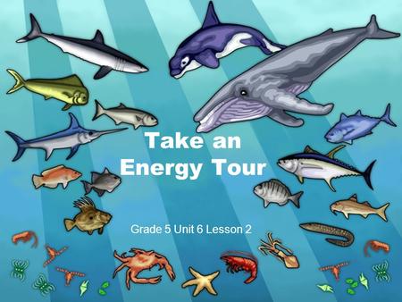 Take an Energy Tour Grade 5 Unit 6 Lesson 2. Food Chain large shark mahi mackerel small fish zooplankton phytoplankton Flow of Energy.