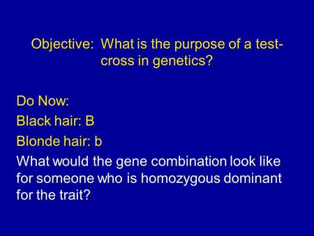 Objective: What is the purpose of a test- cross in genetics? Do Now: Black hair: B Blonde hair: b What would the gene combination look like for someone.